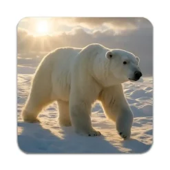 4 ST Djur Isbjörn Underlägg