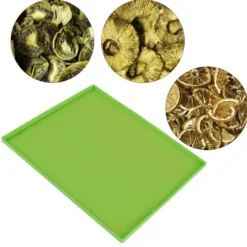 4 st silikon torkmattor livsmedelskvalitet hög temperaturbeständighet förhindrar klibbning frukttorkbrickor med kant grön