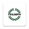 2 ST Triumph Bil Underlägg