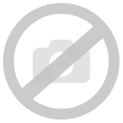 Adler | Iskylare | AD 8086 | Effekt 100 W | Silver