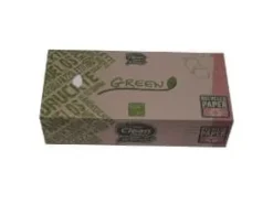 Ansiktsservett Grön 3 lager 20x21 cm 100 % återvunnen servett och förpackning, 21 st x 100 st/krt