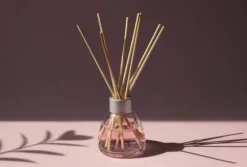 Bambuspinnar 80 cm Ø6 mm – 500 st, för växter, orkidéer och dekoration