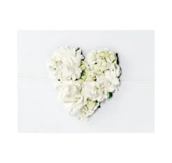 Bröllopsbok 20,5*20,5cm (60 sidor)