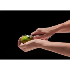 Citruszester, rostfritt stål, 16,5 cm, mörkgrå stång / Lurch