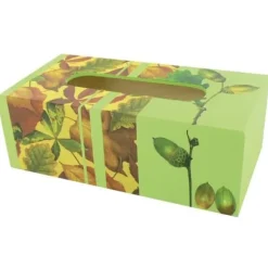 CTOP Tissue Box 28*14*7 cm