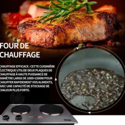 Elektrisk gaskök - INN - Dubbel brännare - 1000+1500 W - 315x500 mm - Grå silver