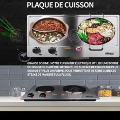 Elektrisk gaskök - INN - Dubbel brännare - 1000+1500 W - 315x500 mm - Grå silver