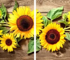 GLAS SKÄRBRÄDA 2x 30x52 BLOMMOR