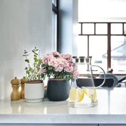 Glaskanna, 24x14x18 cm, Transparent