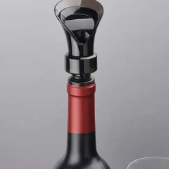 2-i-1 Vinluftare Dekanter Flaskpip med Förslutning
