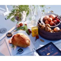 Kökstermometer Appstyrd Bluetooth Gastromax