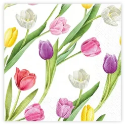 Matservetter Tulpaner mixade 20-pack Ivars i Lanna