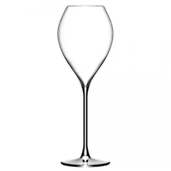 New Grand Champagneglas 25cl, 6-pack - Lehmann