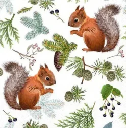 Servetter Ekorre 20-pack Gullers