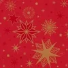 Serviet Duni 24 x 24 cm 3-lag Stargazing Red,20 pk x 50 stk/krt