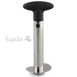 Skär ananas skivor tomma skal slå skala...