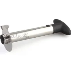 Skär ananas skivor tomma skal slå skala...