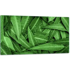 SKÄRBRÄDA I GLAS 52X30 BLAD