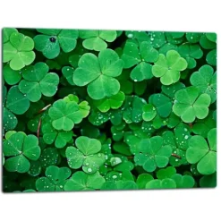 SKÄRBRÄDA I GLAS 52x40 GRÖN