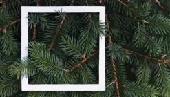 SKÄRBRÄDA I GLAS 52x30 PAPRIKA