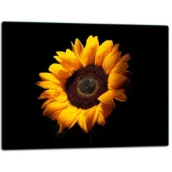 SKÄRBRÄDA I GLASPLATTA 52x40 BLOMMA