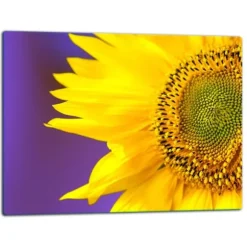 SKÄRBRÄDA I GLASPLATTA 52x40 BLOMMA