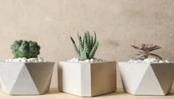 SKÄRBRÄDA I GLASPLATTA 52x30 KAKTUS