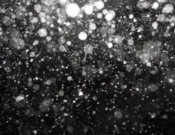 SKÄRBRÄDA I GLASPLATTA 52x40 SVART