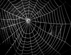 SKÄRBRÄDA I GLASPLATTA 52x40 SVART