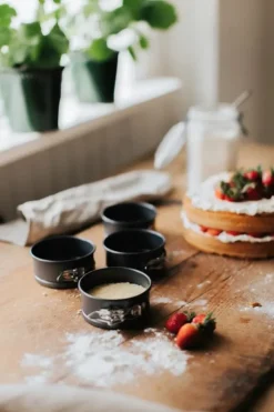 Springform 4-pack Karabo Ø10 cm Kolstål Dorre