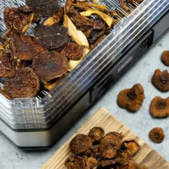 TORK FÖR SVAMP FRUKTÖRTER KLAUSBERG KB-7569