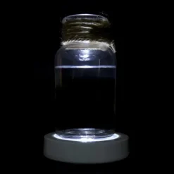 Vinglasunderlägg med LED-ljus och växlande skal, vitt ljus, inget batteri ingår