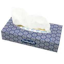 Vita näsdukar i ask, 2 lager, 100 st